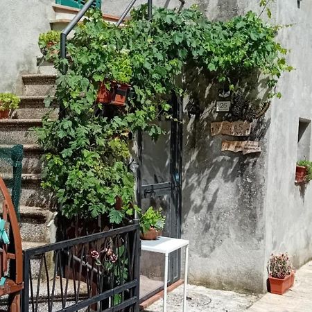 Nicolas House Campiglia dʼOrcia Buitenkant foto